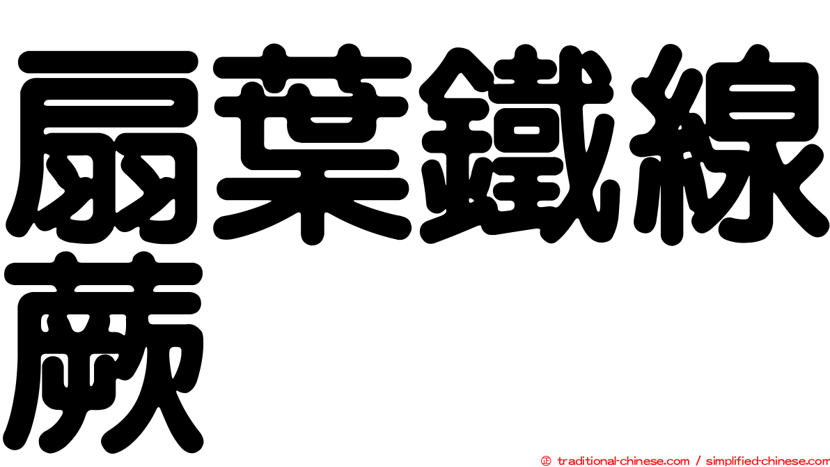扇葉鐵線蕨