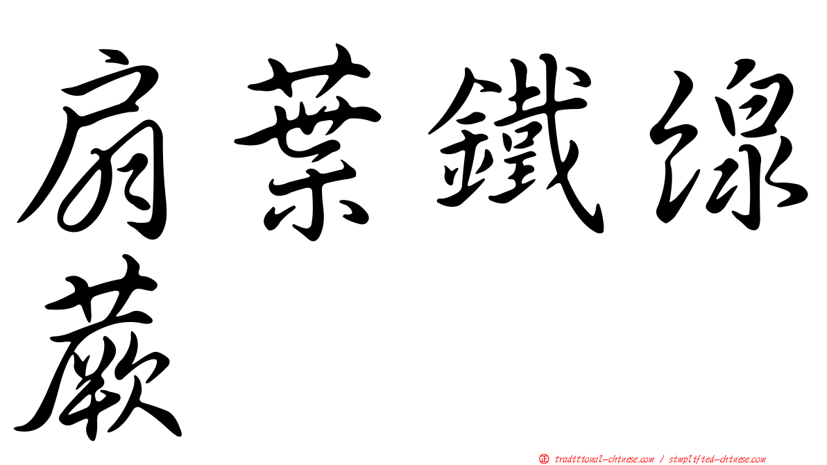 扇葉鐵線蕨