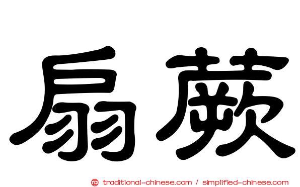 扇蕨
