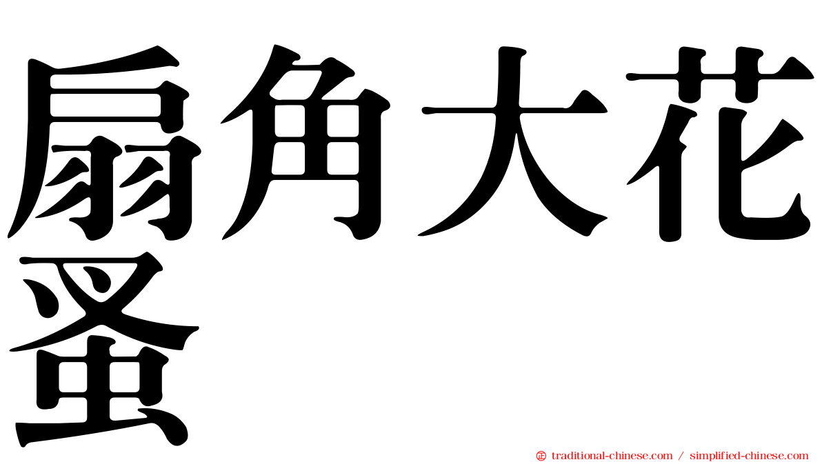 扇角大花蚤