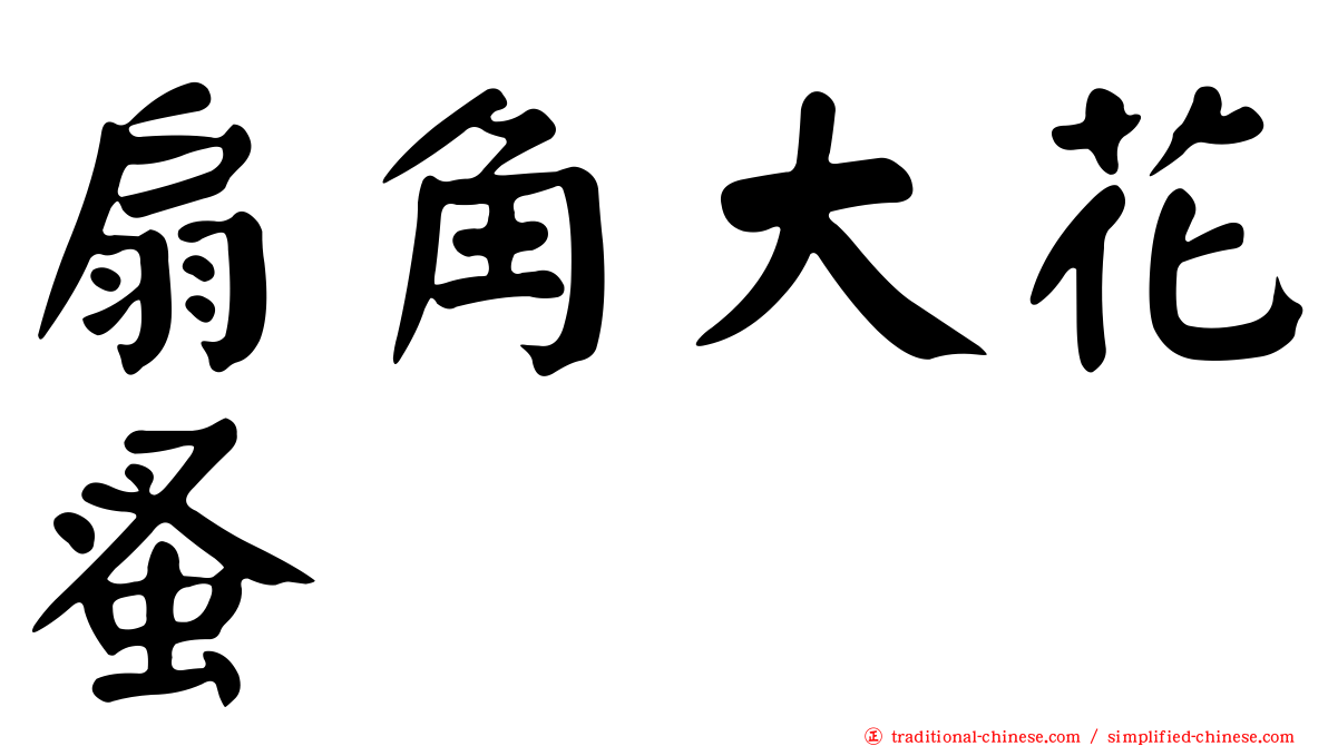 扇角大花蚤
