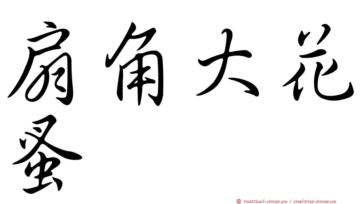 扇角大花蚤