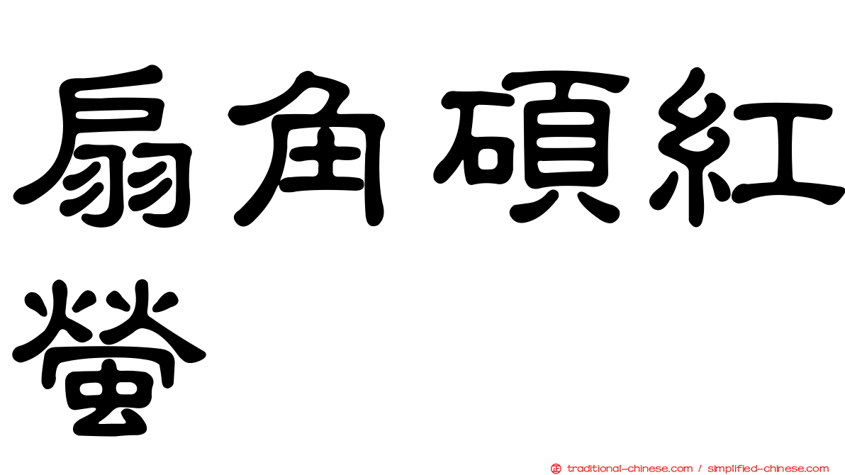 扇角碩紅螢