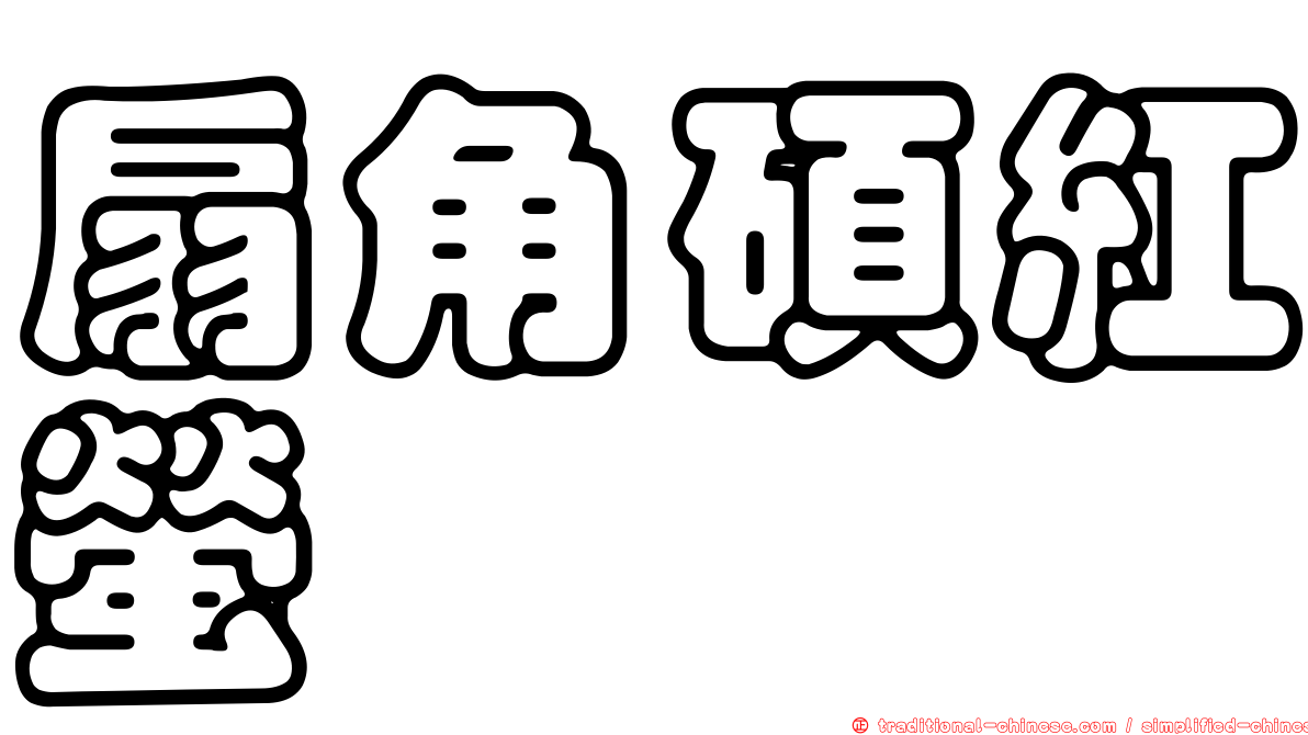 扇角碩紅螢