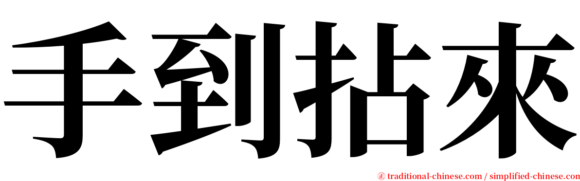 手到拈來 serif font