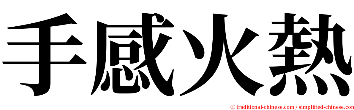 手感火熱 serif font