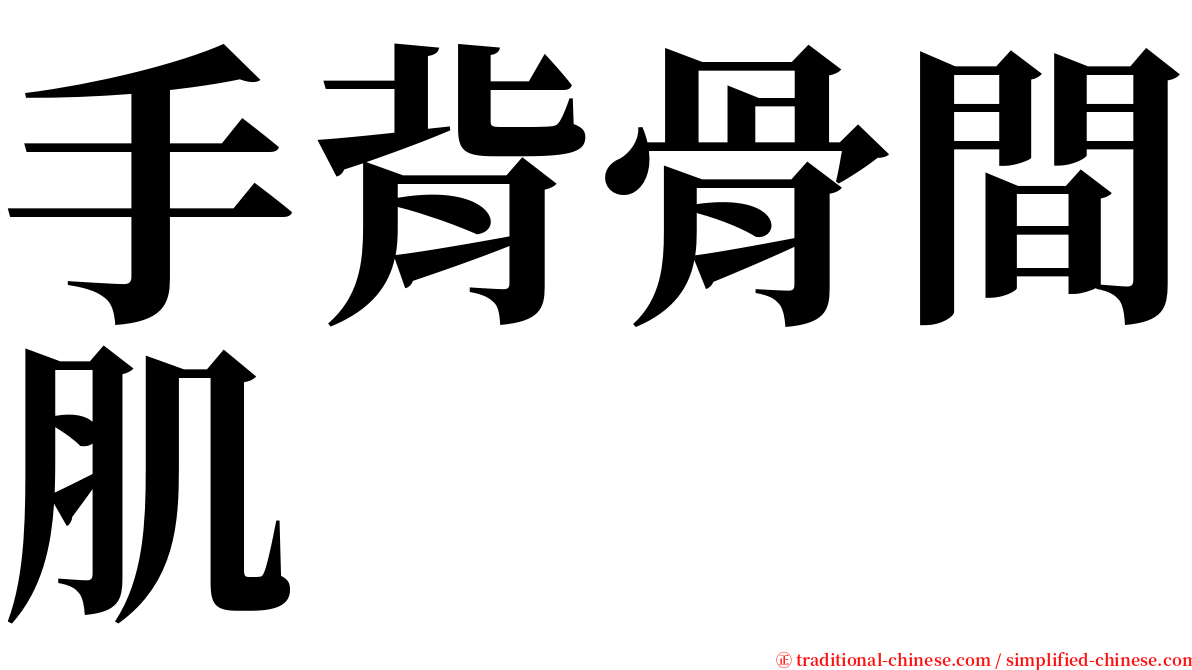 手背骨間肌 serif font