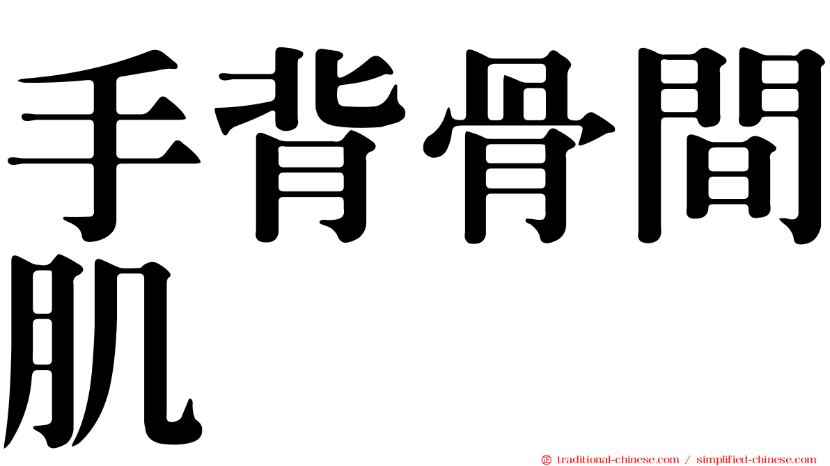 手背骨間肌
