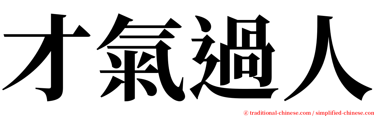 才氣過人 serif font