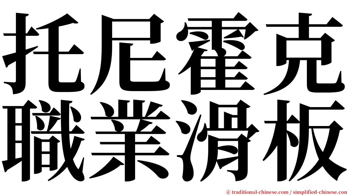 托尼霍克職業滑板 serif font