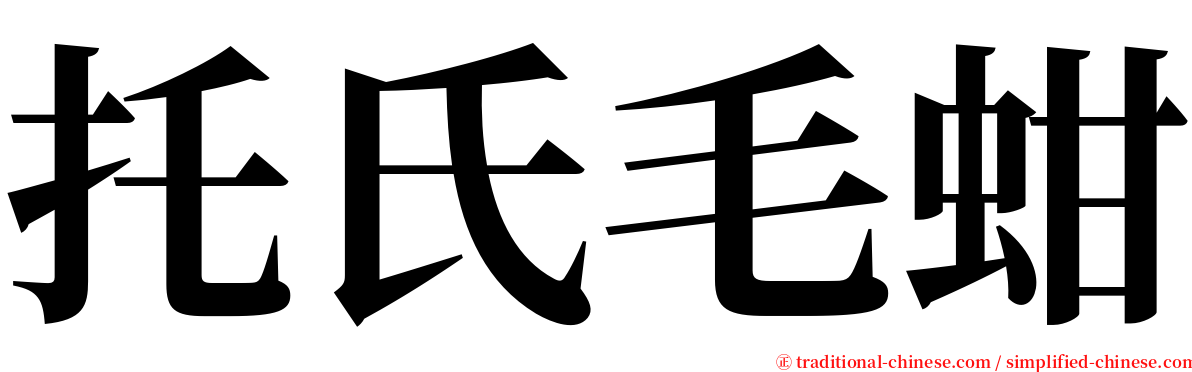 托氏毛蚶 serif font