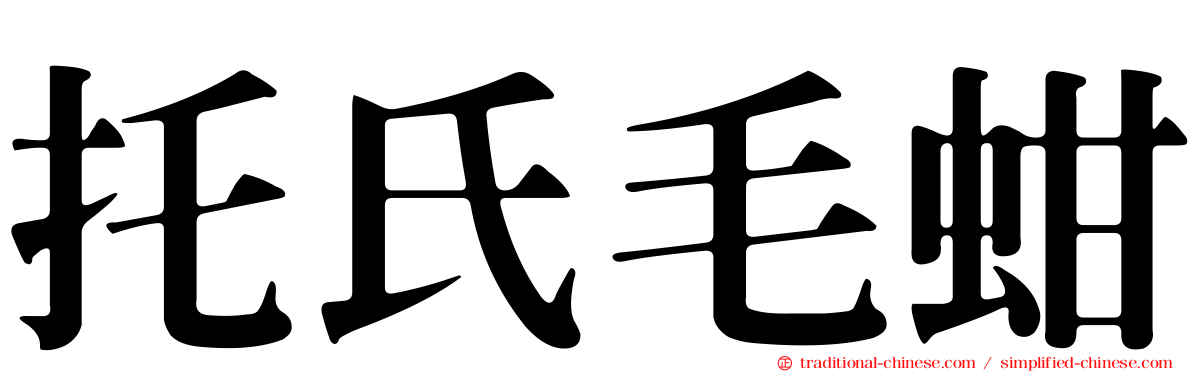 托氏毛蚶