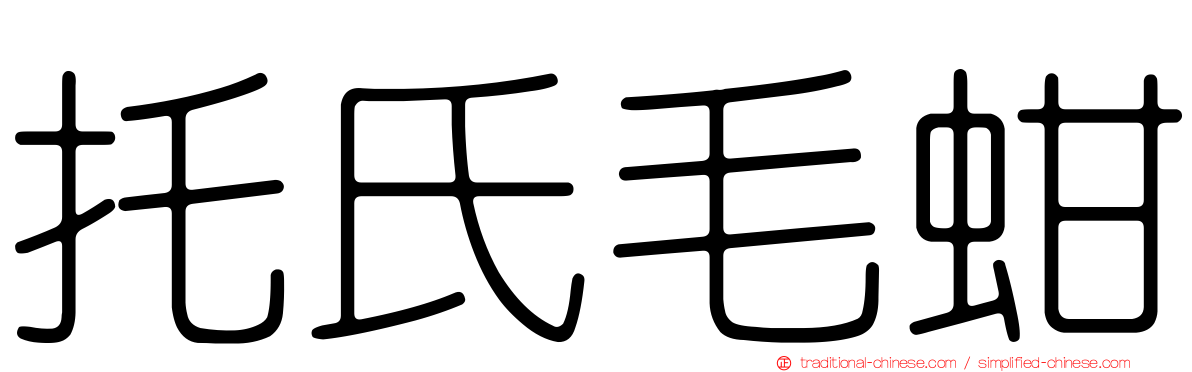 托氏毛蚶