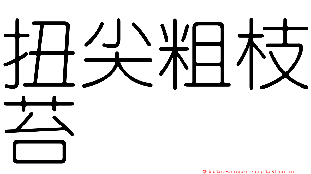 扭尖粗枝苔