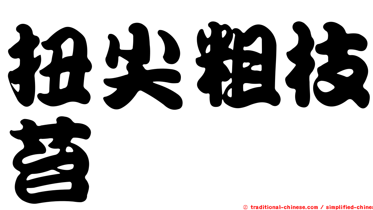 扭尖粗枝苔