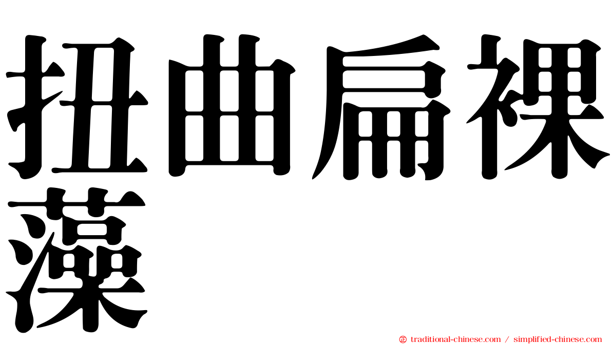 扭曲扁裸藻