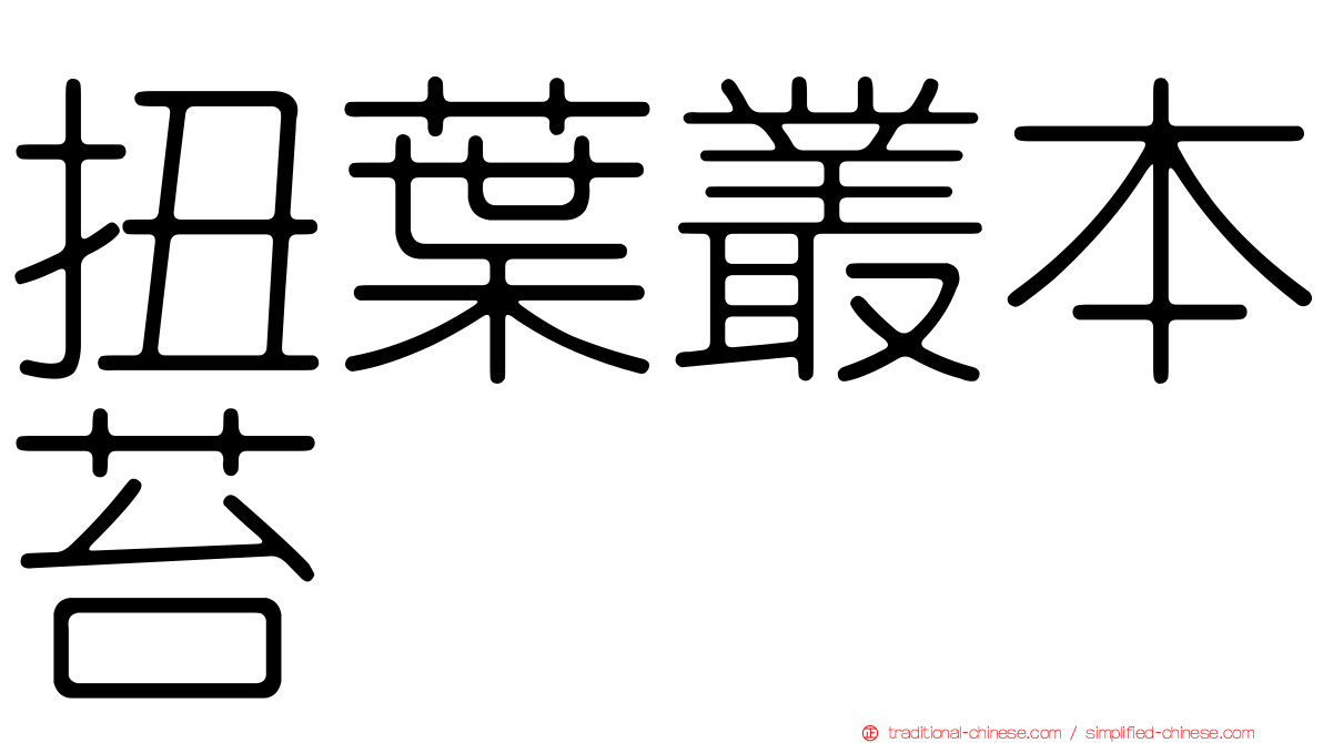 扭葉叢本苔