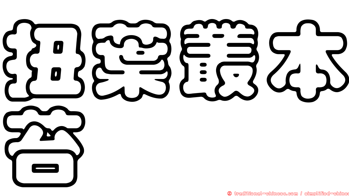 扭葉叢本苔