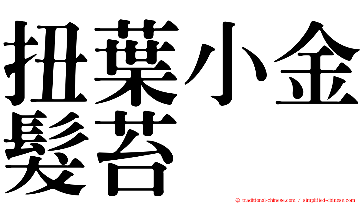 扭葉小金髮苔