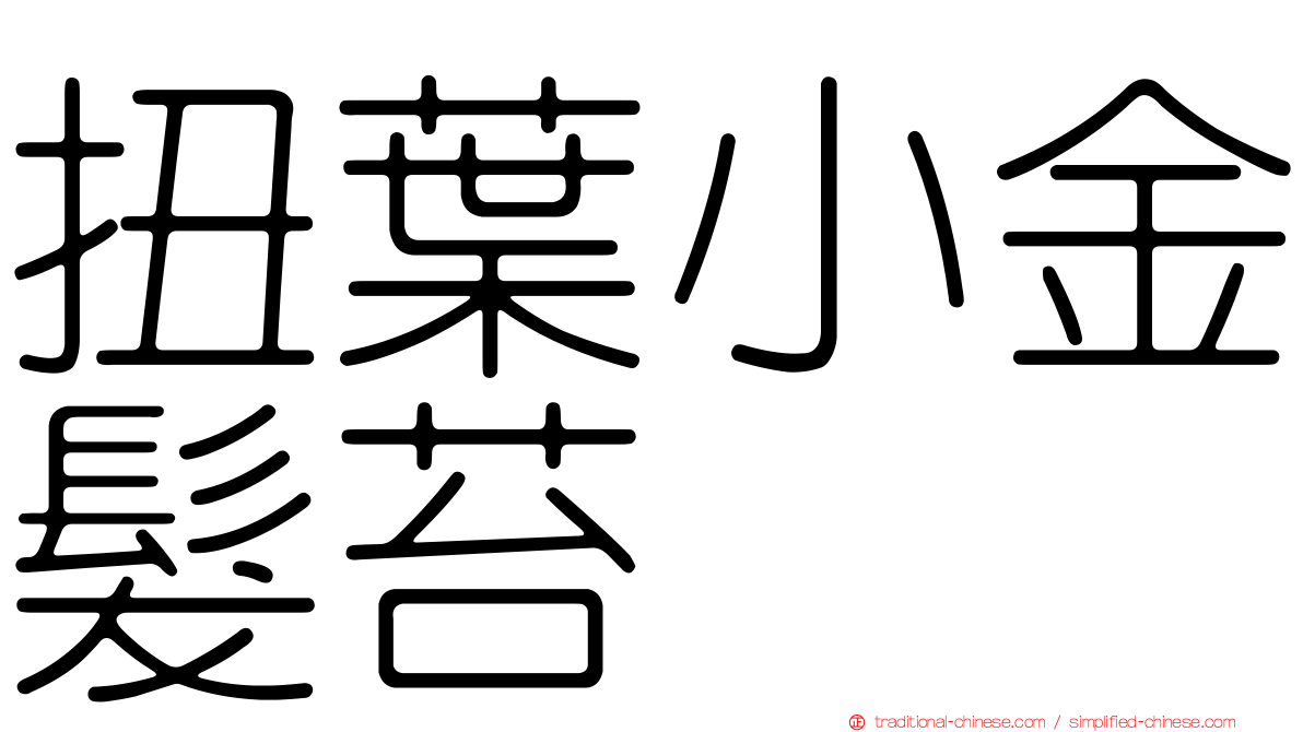 扭葉小金髮苔