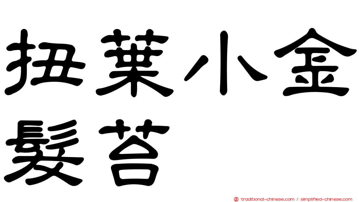 扭葉小金髮苔
