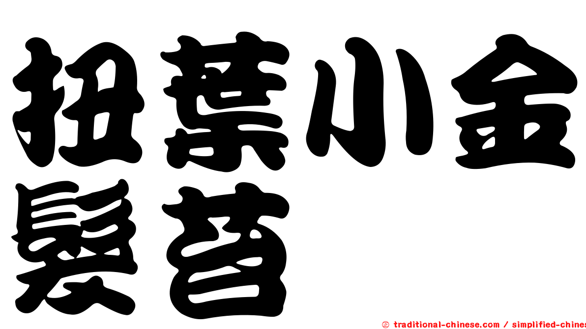 扭葉小金髮苔
