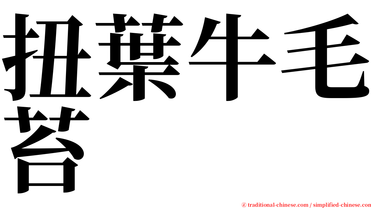 扭葉牛毛苔 serif font