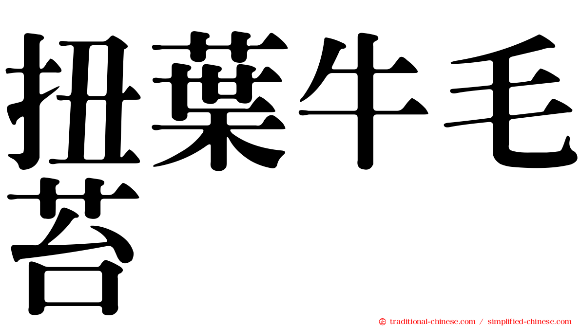 扭葉牛毛苔