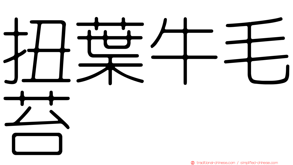 扭葉牛毛苔
