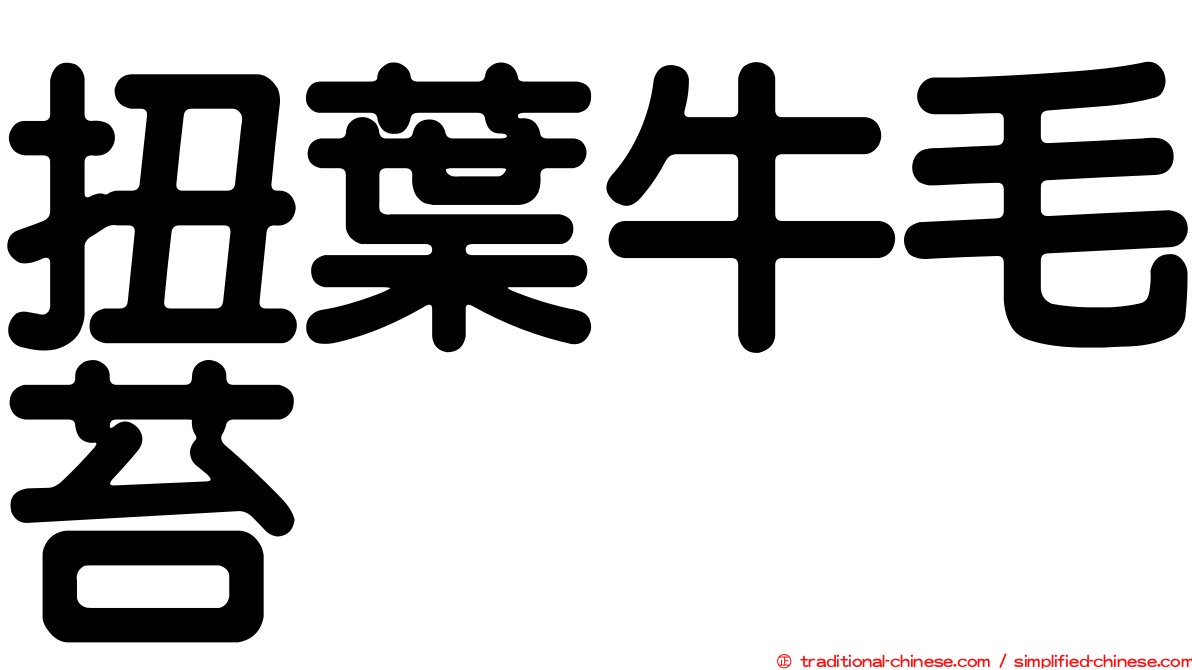 扭葉牛毛苔