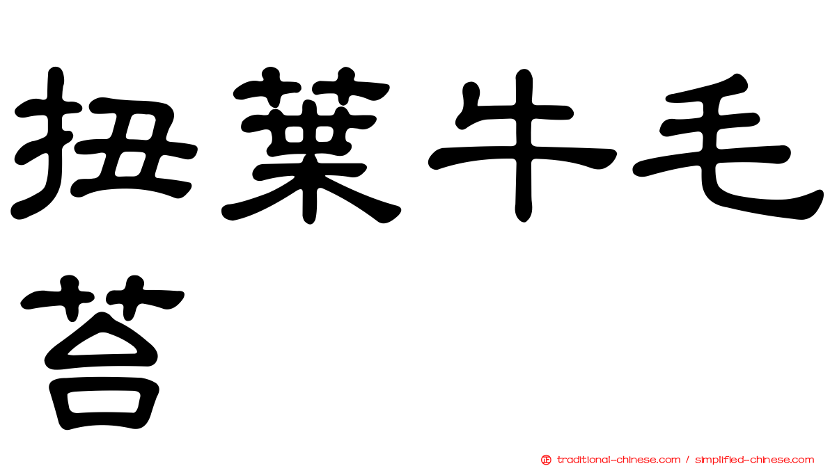 扭葉牛毛苔