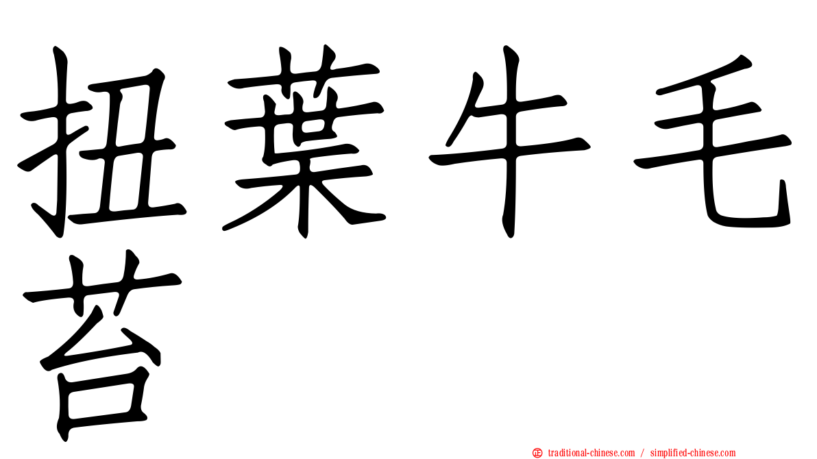 扭葉牛毛苔