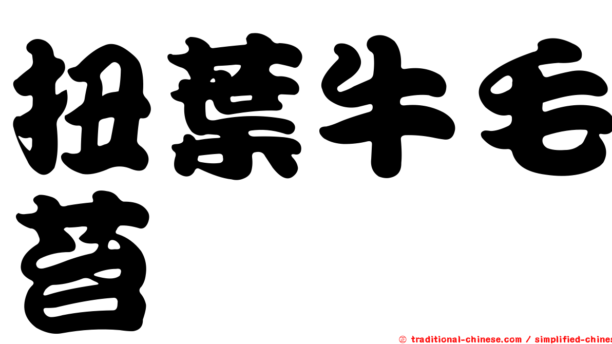 扭葉牛毛苔