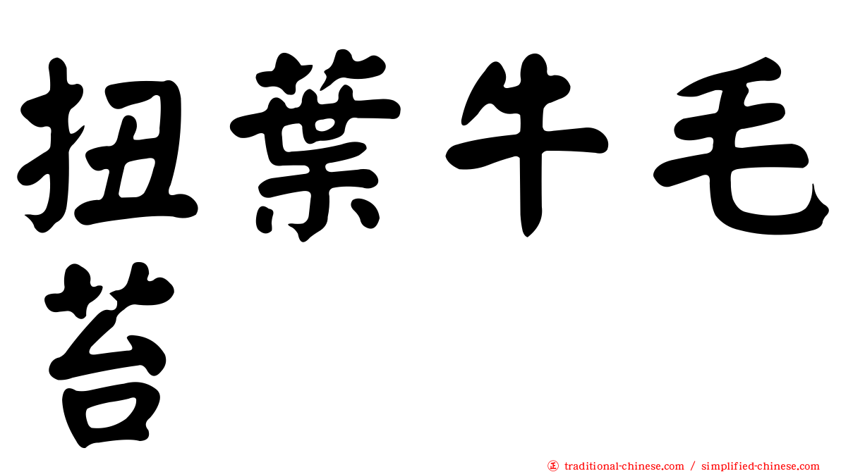 扭葉牛毛苔