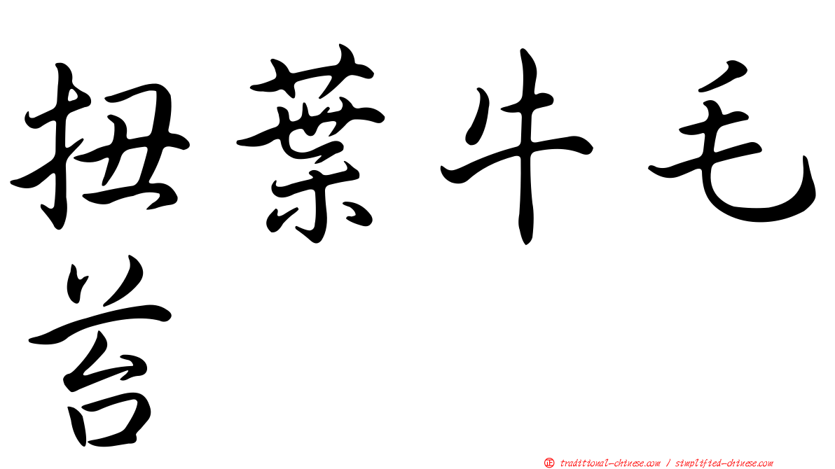 扭葉牛毛苔