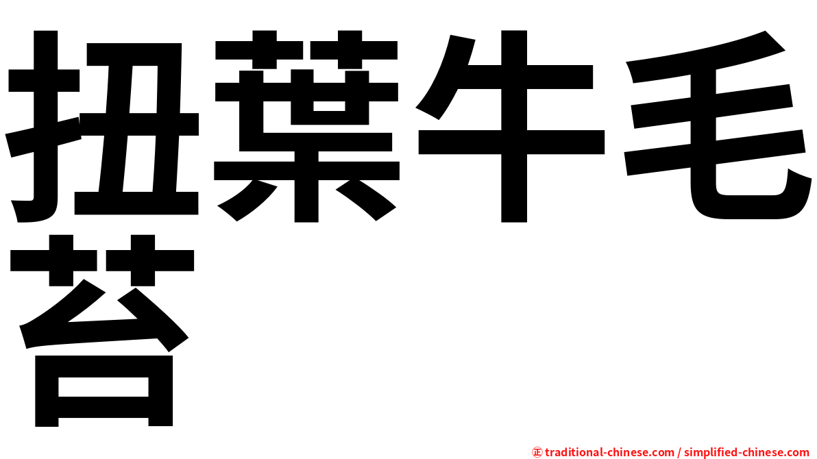 扭葉牛毛苔