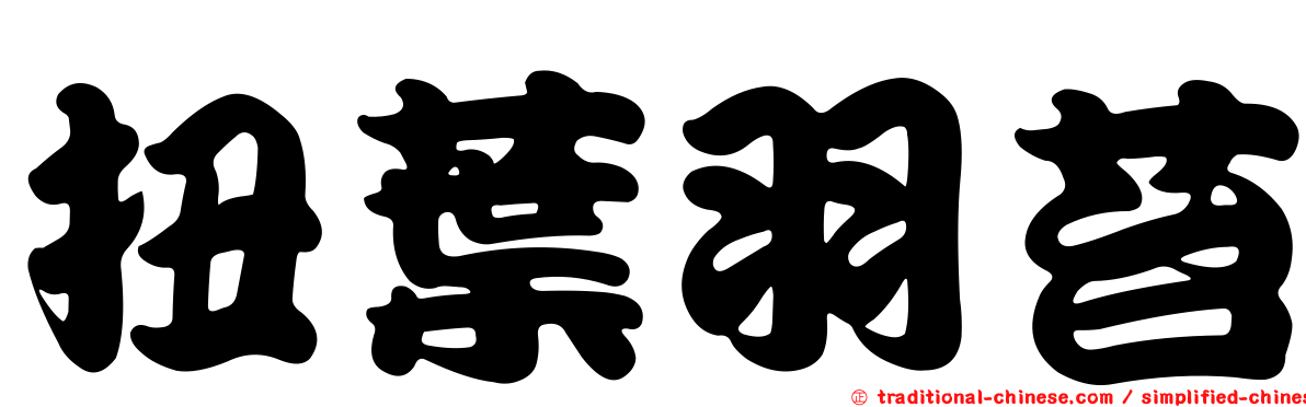 扭葉羽苔