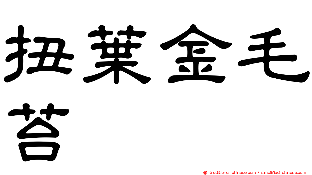 扭葉金毛苔