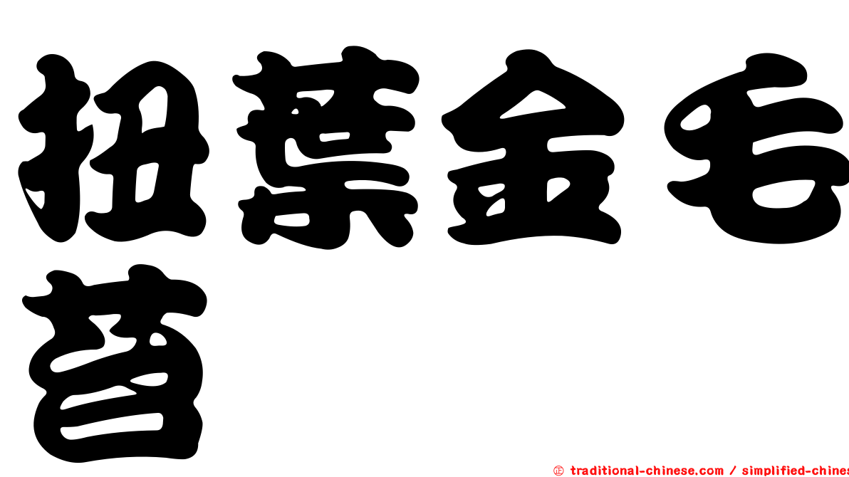 扭葉金毛苔