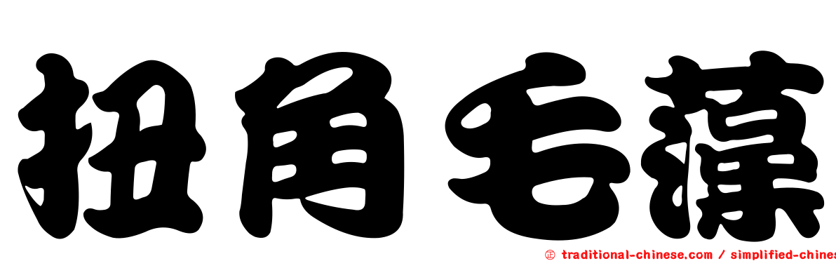 扭角毛藻