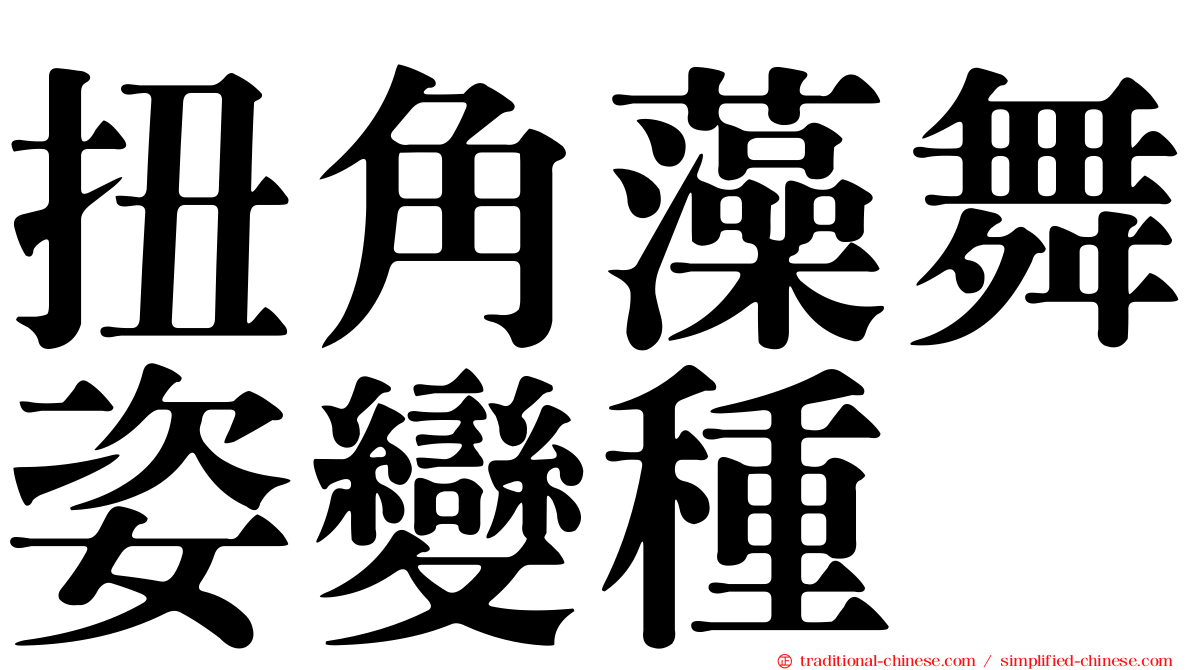 扭角藻舞姿變種