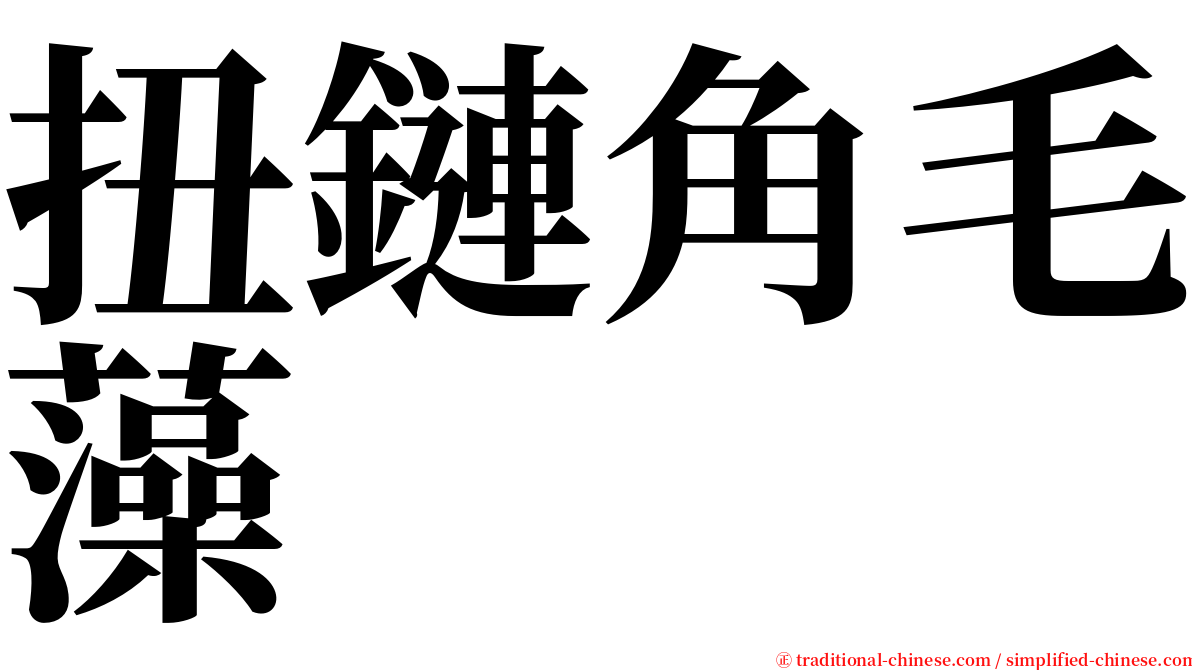 扭鏈角毛藻 serif font