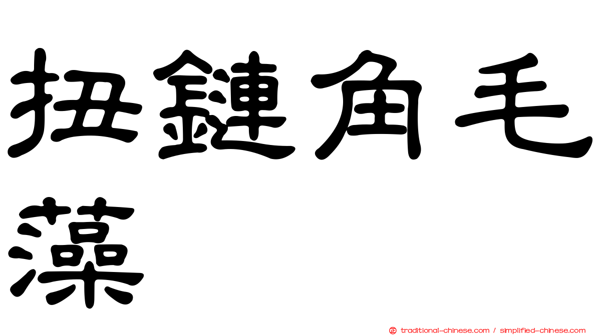 扭鏈角毛藻
