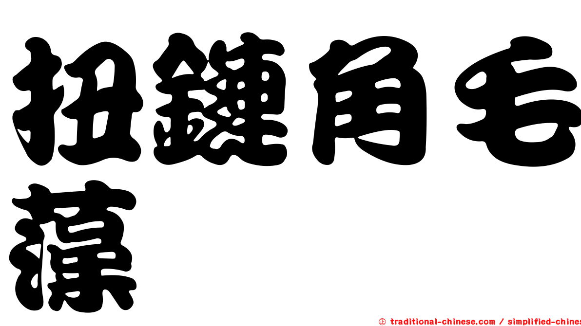 扭鏈角毛藻