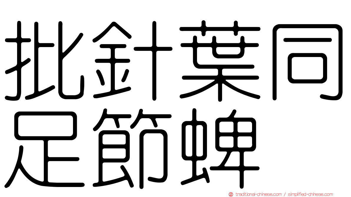 批針葉同足節蜱