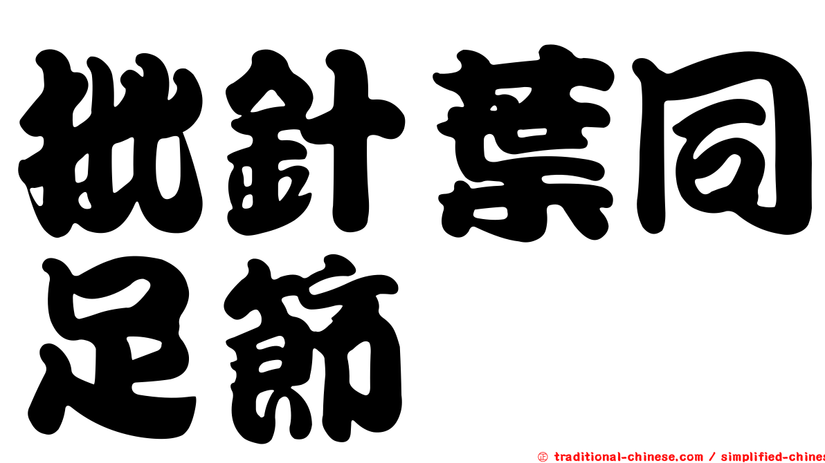 批針葉同足節蜱