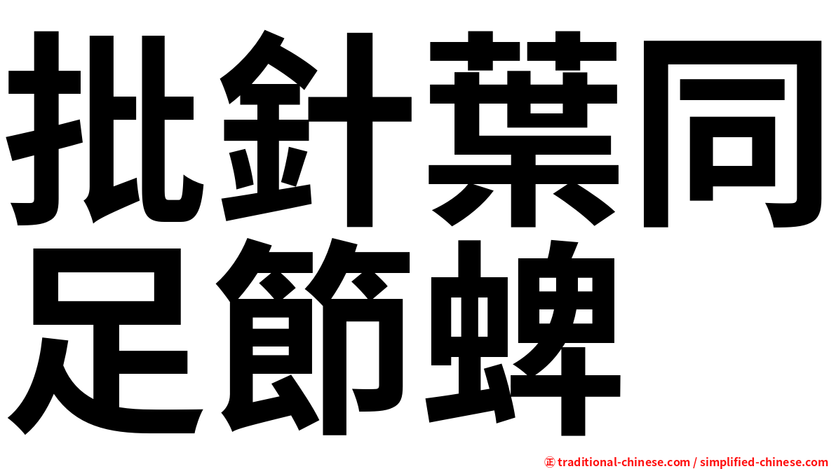 批針葉同足節蜱