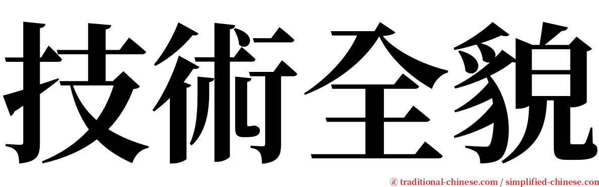 技術全貌 serif font