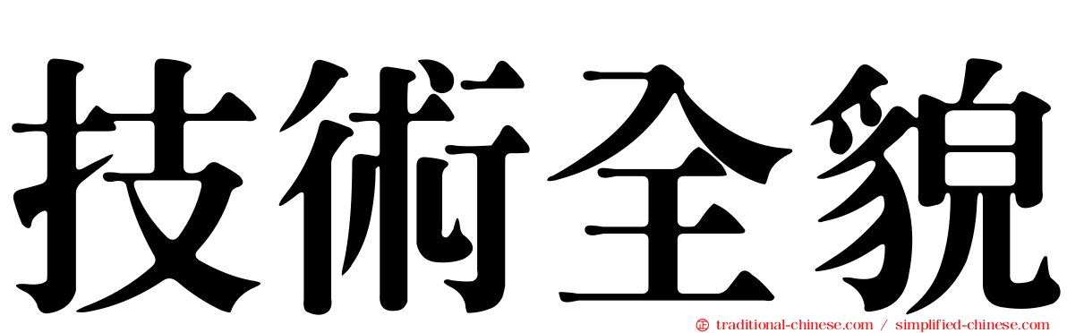技術全貌