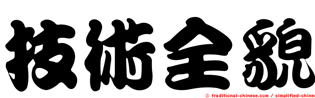 技術全貌